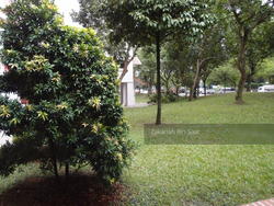 Blk 510 Choa Chu Kang Street 51 (Choa Chu Kang), HDB 5 Rooms #156181172
